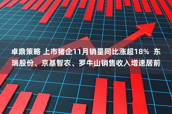 卓鼎策略 上市猪企11月销量同比涨超18%  东瑞股份、京基智农、罗牛山销售收入增速居前